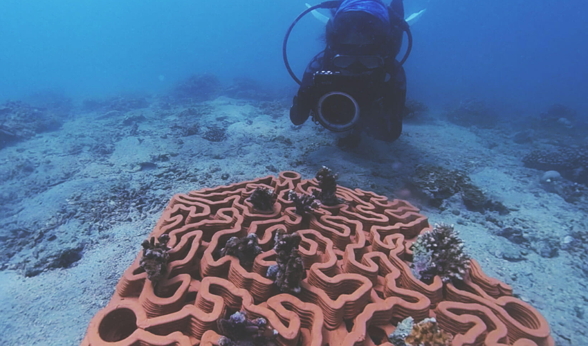 Abu Dhabi Partners with Archireef to Use 3D Printing for Coral Reef Restoration