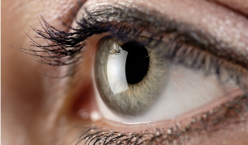 Swiss Scientists Use 3D Printing to Create Personalized Corneas