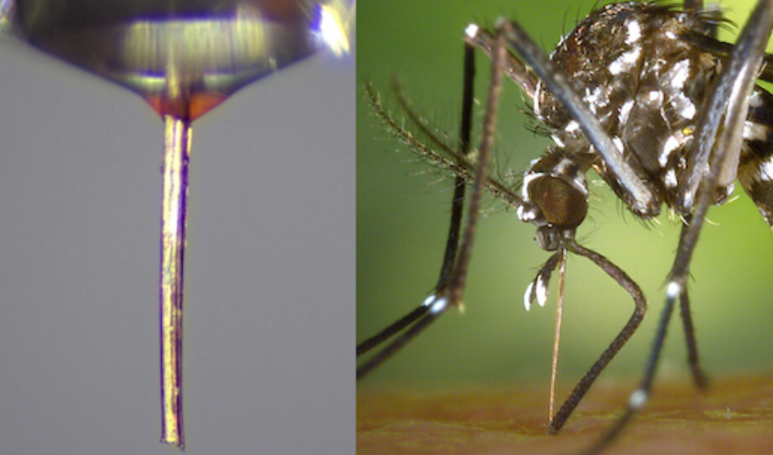 Mosquito Proboscis Repurposed as a Micro Nozzle for High Resolution 3D Printing