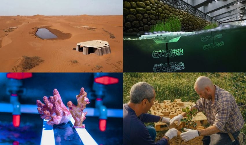 The Top Projects That Use 3D Printing For Environmental Restoration