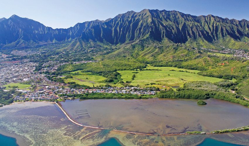 Hawai'i sensors