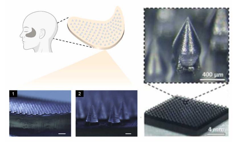polysaccharide microneedle