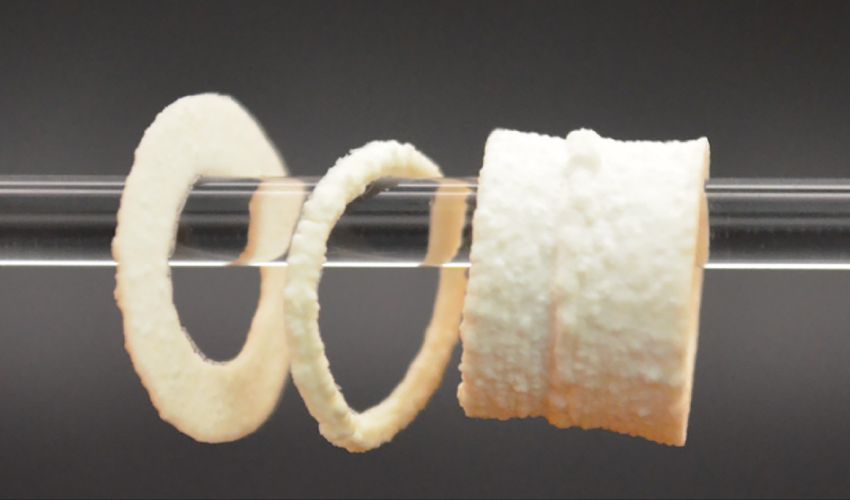 From Print to Load-Bearing in 7 Days: EPFL’s New Bone Scaffold Breakthrough