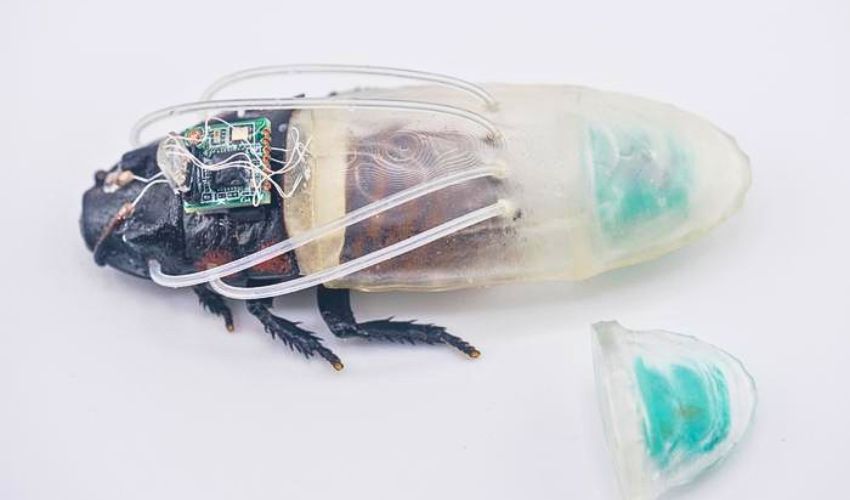 3D-Printed Suit Lets Cyborg Cockroaches Dive Underwater