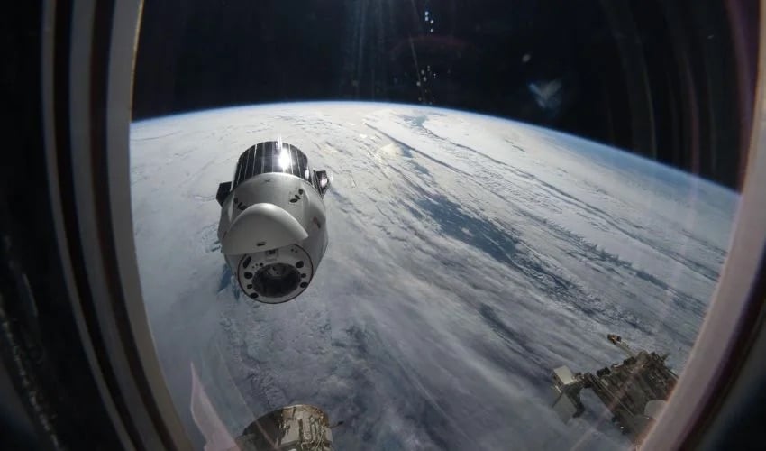 First-Ever Kidney and Liver Tissue Bioprinted in Space Aboard the ISS
