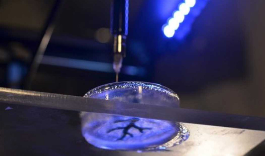 American researchers prints a functional 3D brain