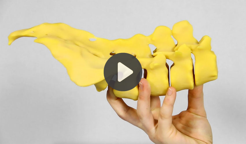 TOP 5 videos of the week: Medical Imagery and more!