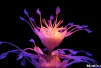 Nicole Hone’s Hydrophytes: 4D Printed Aquatic Plants