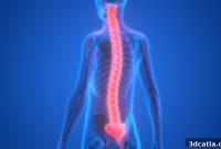 Rebuilding the Future: 3D Printing for Spinal Cord Regeneration