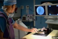 BIOMODEX 3D Organs for Next-Gen Medical Simulation