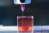 Living Hearts from a 3D Printer