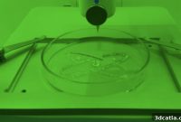 Breakthrough Results for 3D Printed Bionic Pancreas