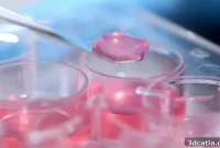 Biogelx’s Vision: Bioinks and the Future of Bioprinting