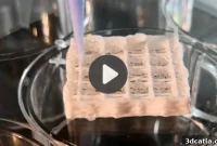 Top 5 Videos Crafting Human Life for Mars with 3D Printing