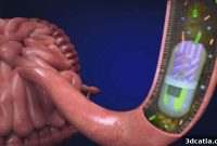 Revolutionizing Gut Care: The 3D Printed Pill
