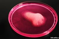 REGEMAT 3D: Pioneering Medical 3D Printing for Nearly a Decade