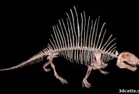 Breathing New Life into Ancient Fossils with 3D Scanning
