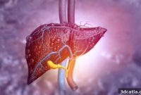 Mini-Liver in 90 Days: Brazil’s Bioprinting Prowess