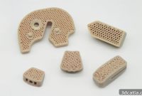 FossiLabs: PEEK Implants Drive Bone Regeneration