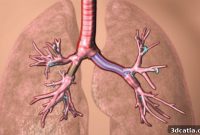 FDA Greenlights Custom 3D Printed Stents