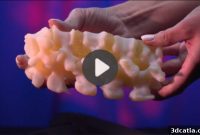 This Week’s Top 5: Lifelike 3D Medical Models Redefining Reality