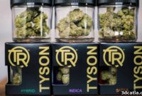 Tyson’s 3D Print Plan Precision Dosing for Cannabis