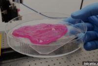 MeaTech Pioneers 3D Printed Real Clean Meat