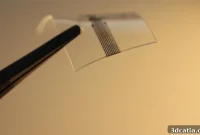 Revolutionizing Neuroscience with 3D Printed Implants