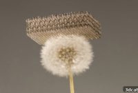 3D Printed Graphene Aerogel Sets New Guinness World Record