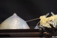3D Printed Robot Revolutionizes Breast Cancer Detection