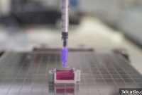 The Bioink Revolution: 3D Printing Real Bone