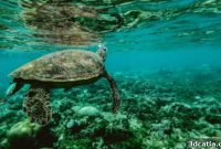 Intelligent 3D-Printed Buoys for Marine Environmental Insights