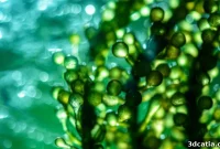 Engineering Sustainable Living Materials Through Bioprinting