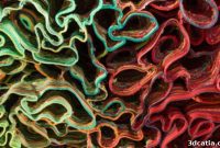 Peter Lang: 3D Printing a Silent Orchestra
