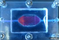 Living 3D Printed Liver Tissues Propel Wake Forest to NASA Challenge Victory