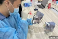 Realistic 3D Printed Nasal Swab Trainer