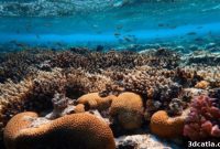 ArchiREEF’s 3D-Printed Terracotta Tiles Revitalize Hong Kong’s Coral Reefs