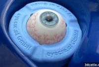 Addion Designs Ultra-Realistic Eye Models for Surgical Training