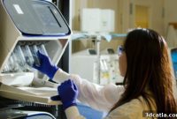 EU Regulation for 3D-Printed Medical Devices: A Race for Relevance