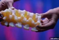 Medical Precision: 3D Printed Anatomy