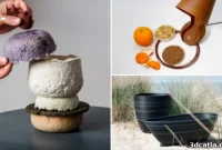 EcoPrint Projects for a Healthy Planet