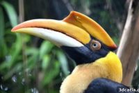 Bird Flies Again With 3D Printed Beak