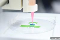 Microfluidic 3D Bioprinting Enhances Cellular Structure Fidelity