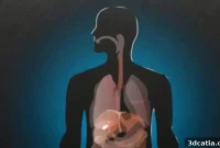 Acoustic 3D Printing: Building Implants Within You
