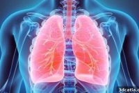 3D Systems and United Therapeutics Debut Revolutionary 3D Printed Lung Scaffold