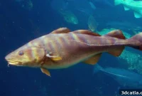 Danish Marine Ecosystems Revived with 3D Printed Reefs