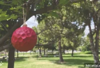 3D-Printed Seeds for Reforestation