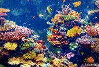 Innovareef 3D Printing Life Back to Ocean Floors