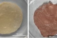 Next-Gen Ink Unlocks Cheaper 3D Printed Cultured Meat