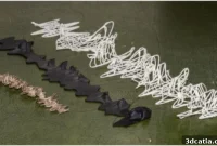 3D Printing Unlocks New Era for Endangered Language Preservation